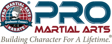 Pro Martial Arts Logo